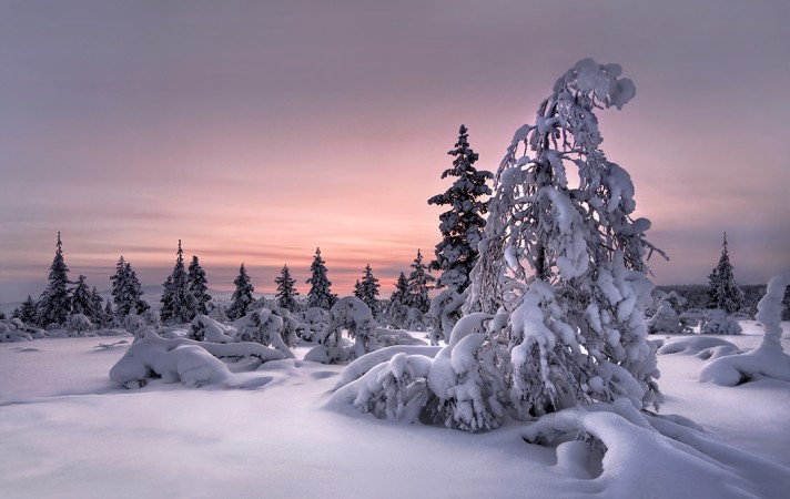 1106 Lappland Winterwunderwelt.jpg